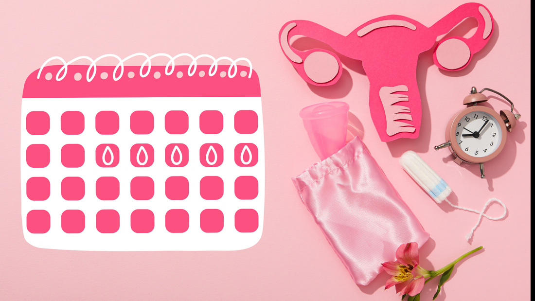 Understanding Your Menstrual Cycle