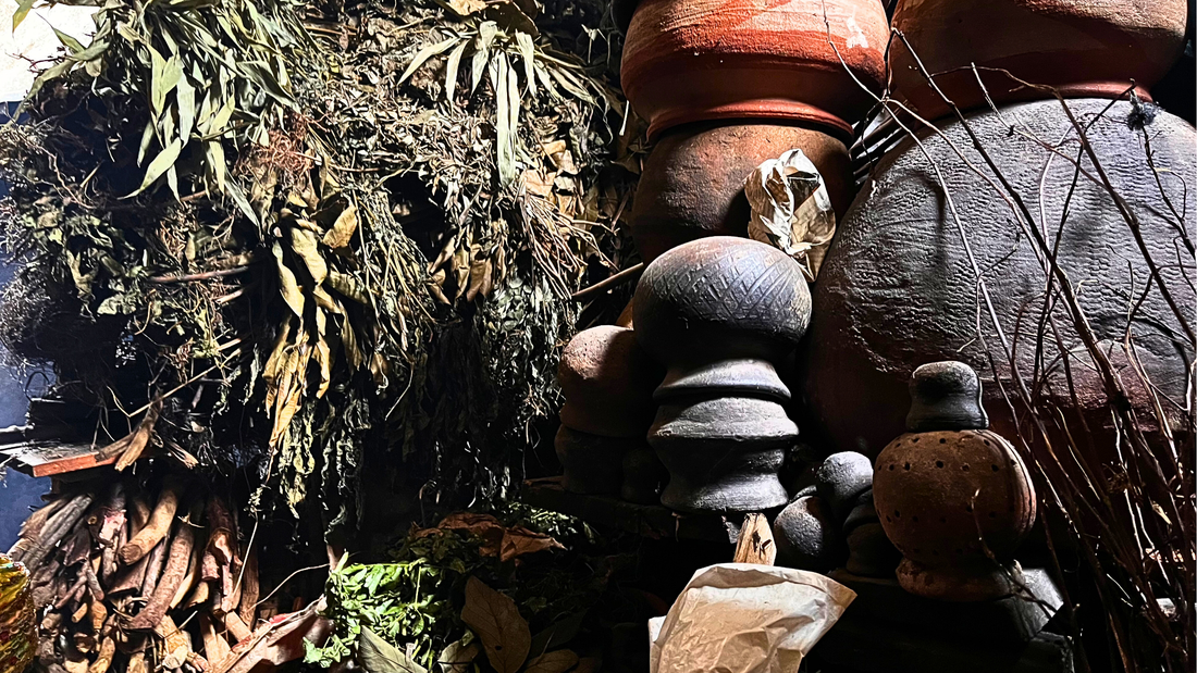 Exploring Nigeria’s Hidden Herbal Treasures