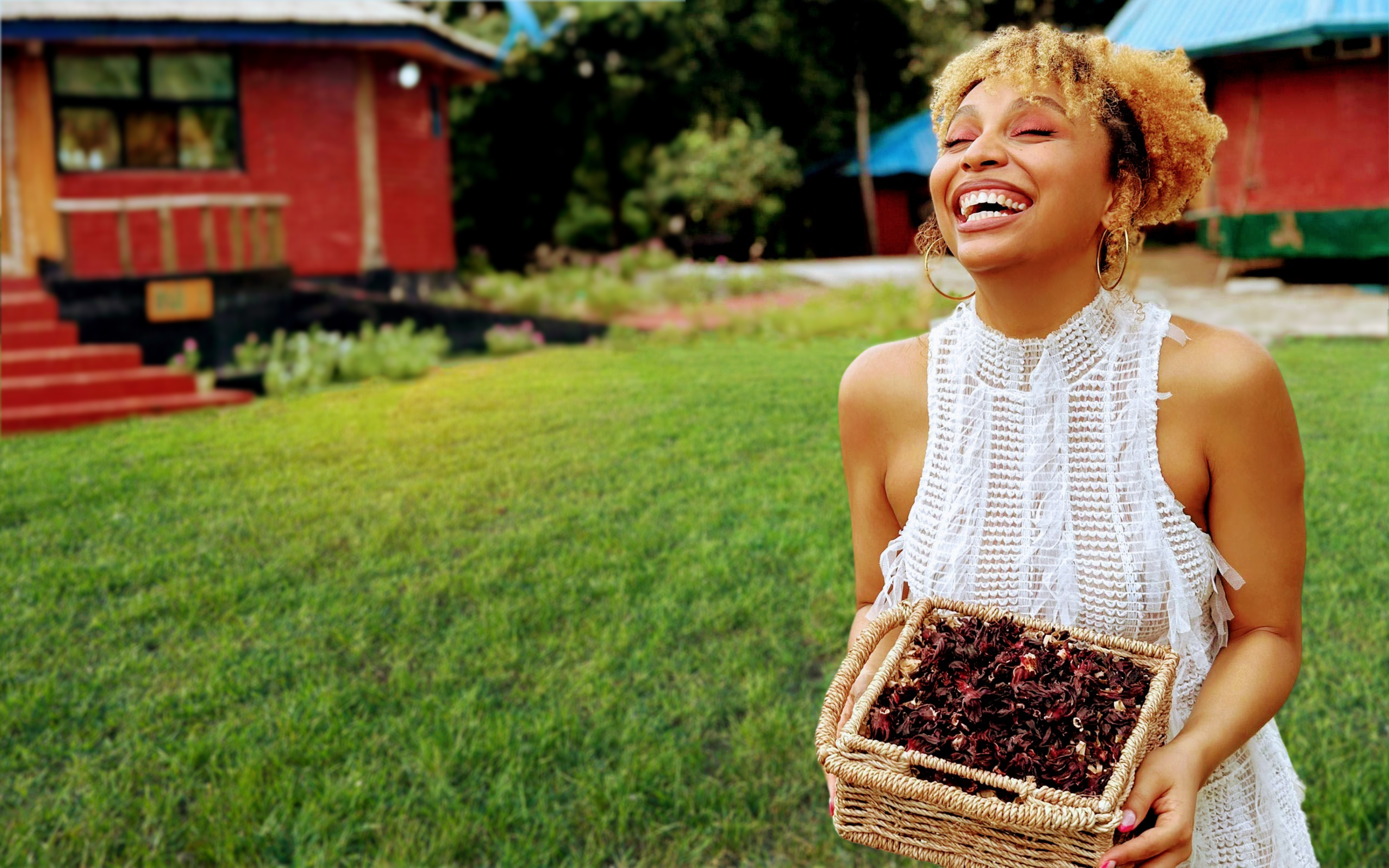 Sourcing hibiscus for SHE KITTY's women's sexual health teas.